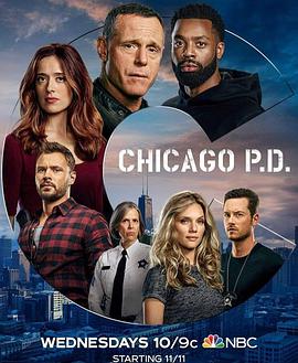 芝加哥警署第八季第8集